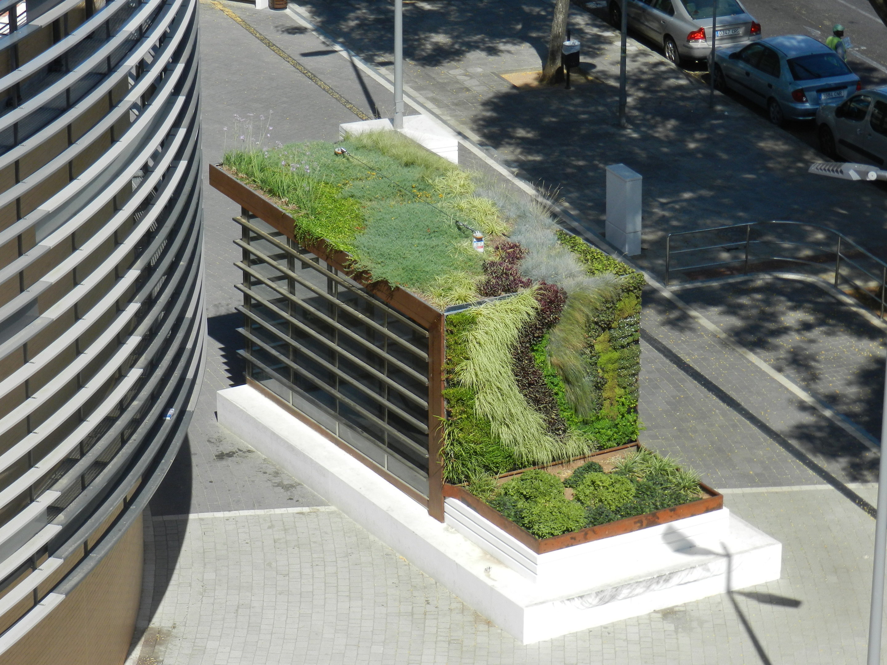 Bus Stop Green Roof and Living Wall South Africa