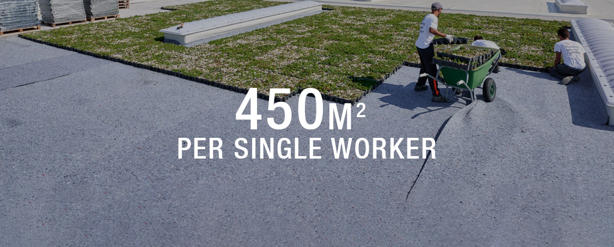 Green Roofs South Africa