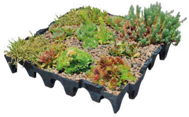 green roofs South Africa